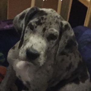 Meet your Posher, Scott